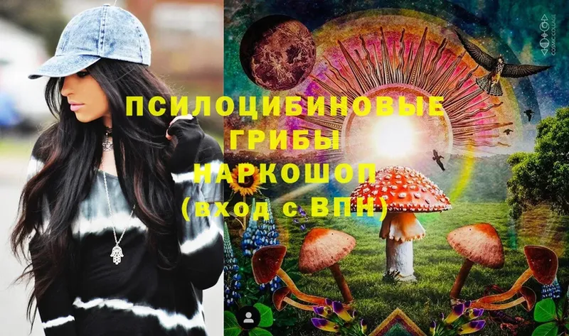 Галлюциногенные грибы Psilocybe  Данков 